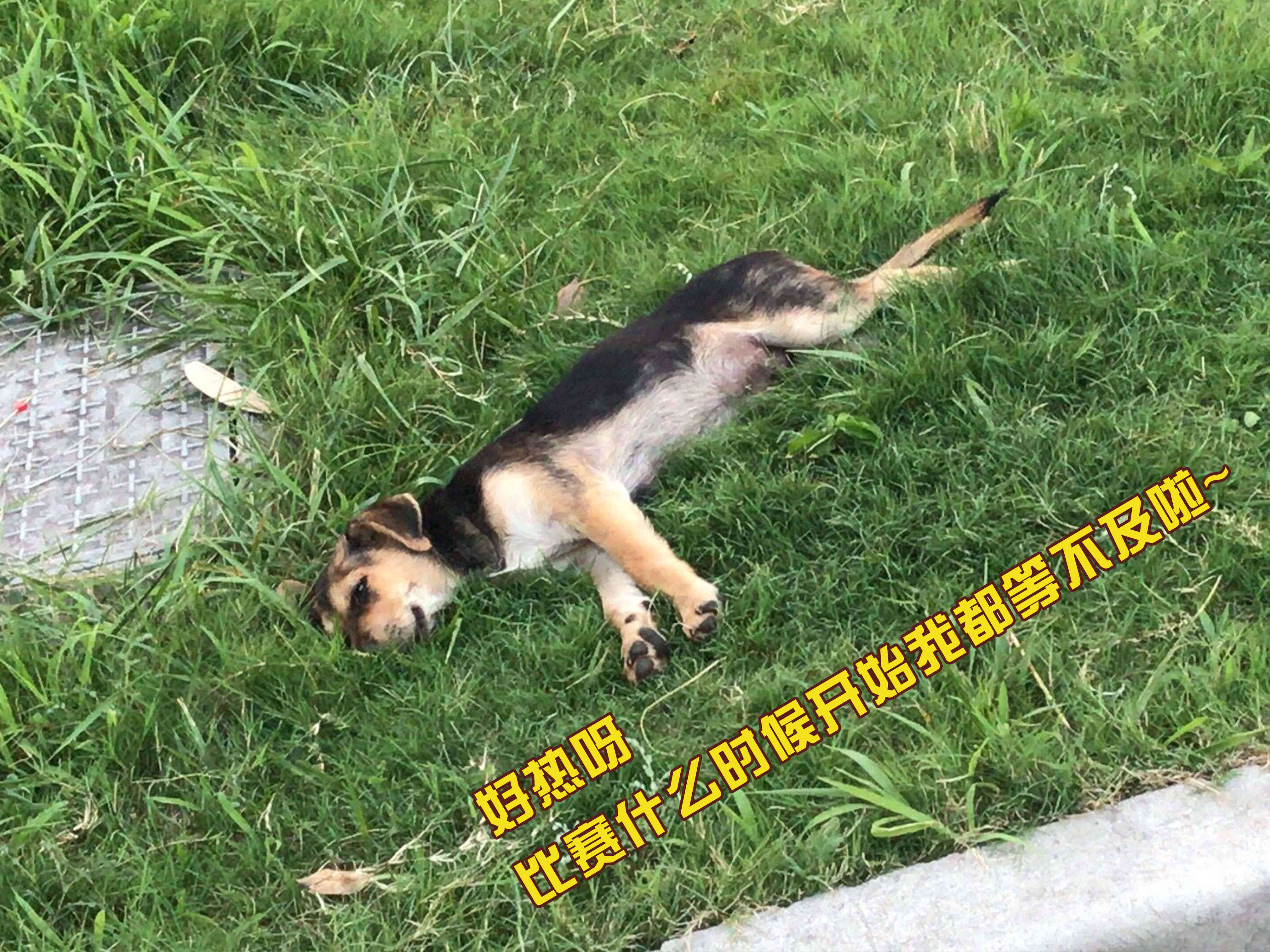 今天37℃？但我们的热情绝对不止于此！(图2)